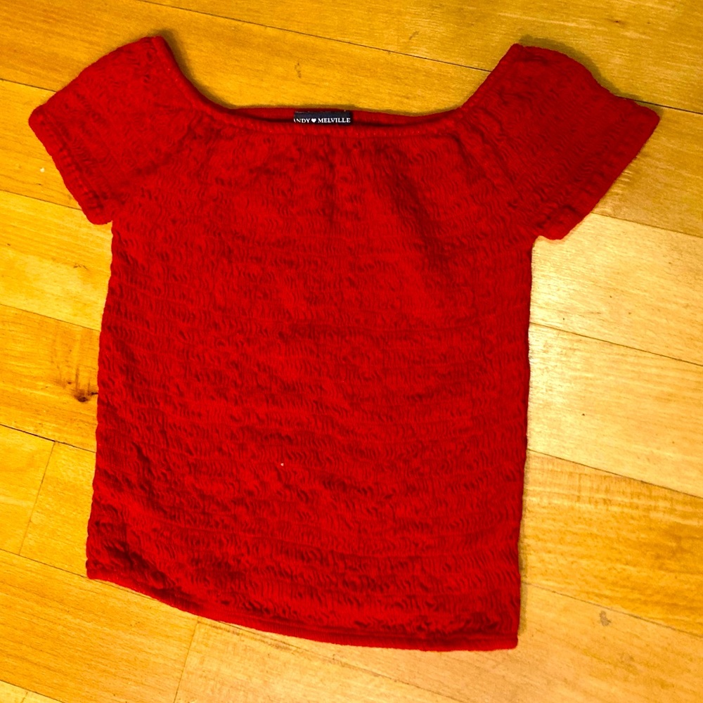 Brandy Melville red smocked crop top